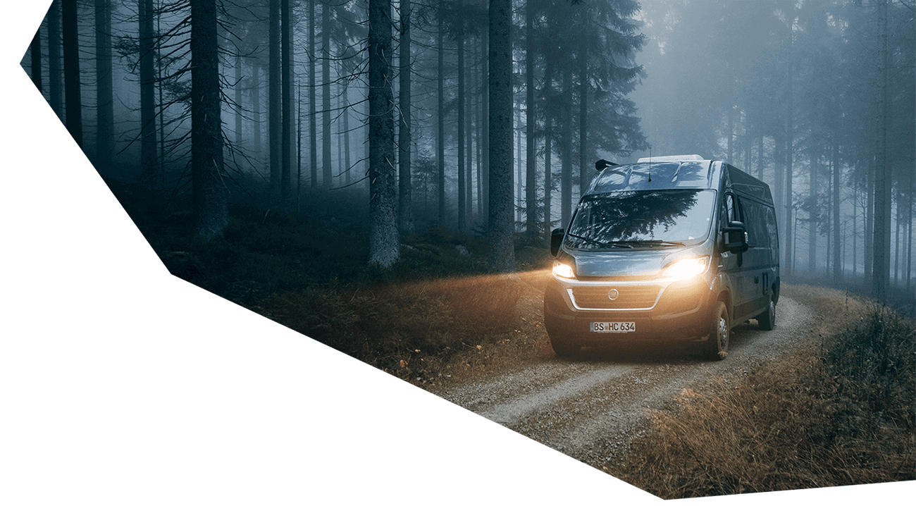 Hannes Camper im nebligen Wald