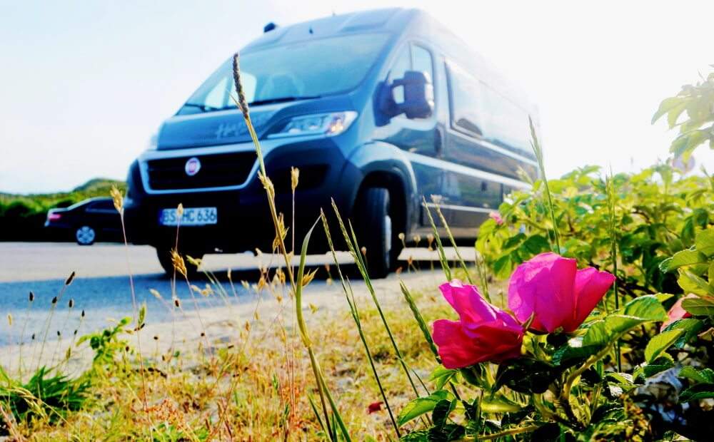 Wohnmobil mieten mit Hund - Hunde Hannes Front